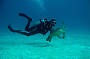 3 Day/ 1 Night Live aboard Referral (not for certified divers or snorkelers)on MV Kangaroo Explorer