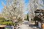 Adelaide Hills Divine Wine Tour