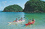 Cape Tribulation & Daintree Deluxe PAK Overnight Stays